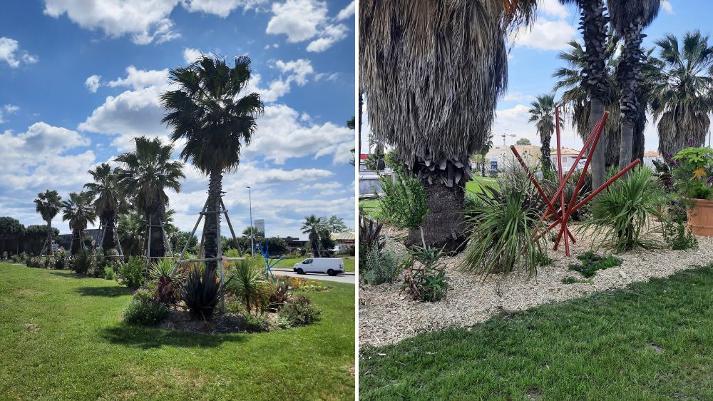 Montpellier - Aménagement paysager du rond point des près d'arènes 2.jpg