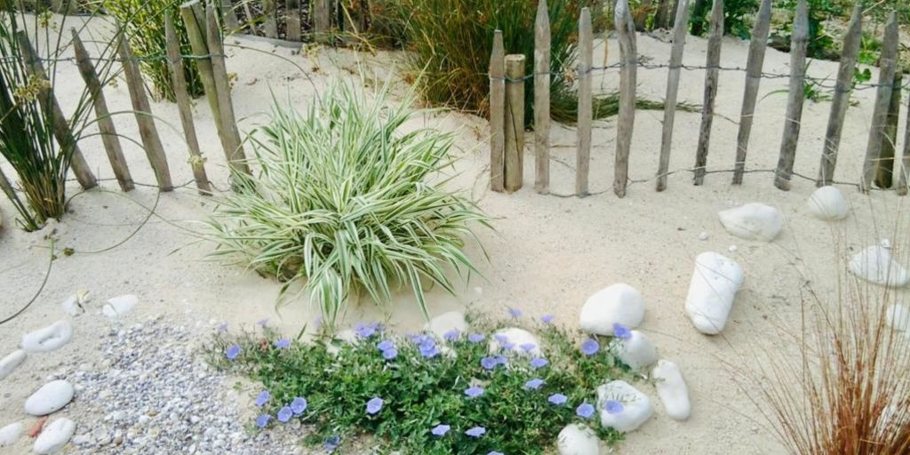 La Rochelle - Aménagement d’un jardin de bord de mer à La Rochelle 2.jpg