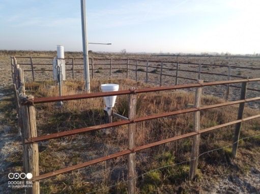 arles - entretien du site météo france à Camargue tour du valat.jpg