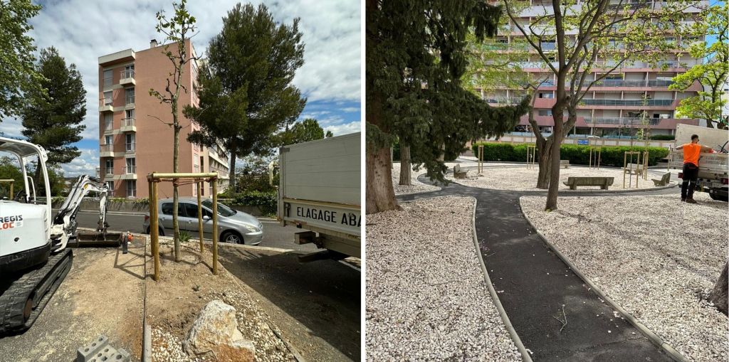 arles - réalisation d'une campagne de plantation d'arbres à istres.jpg