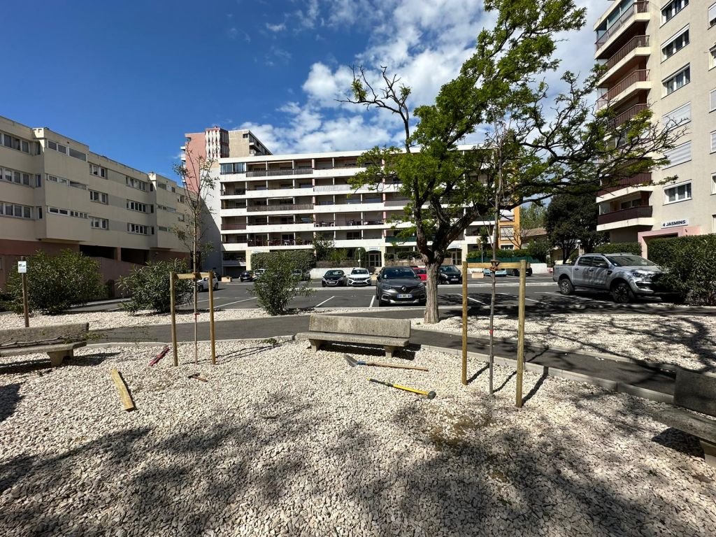 arles - réalisation d'une campagne de plantation d'arbres à istres 3.jpg