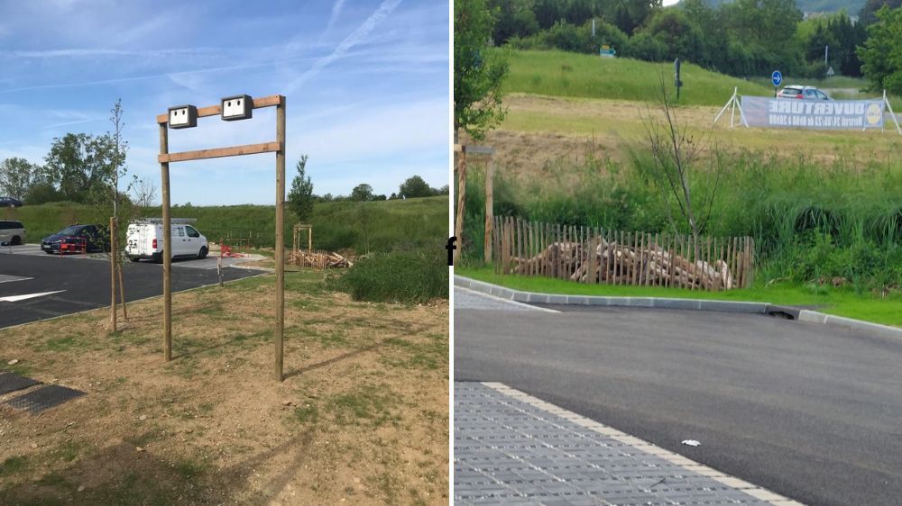 grenoble - création des espaces verts du nouveau lidl 3.jpg