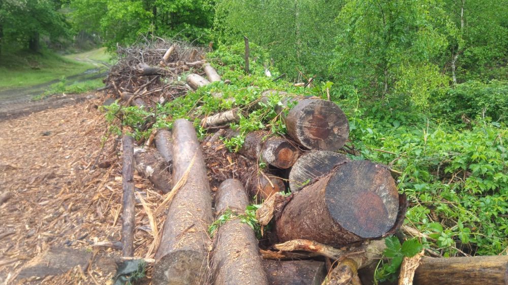 La Roche sur Yon - revalorisation d'une plateforme de déchets verts.jpg