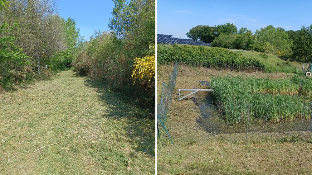 poitiers - débroussaillage d'un bassin à viennay 2.jpg