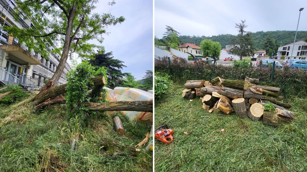 grenoble - dégagement d'urgence d'un arbre à vienne  3.jpg