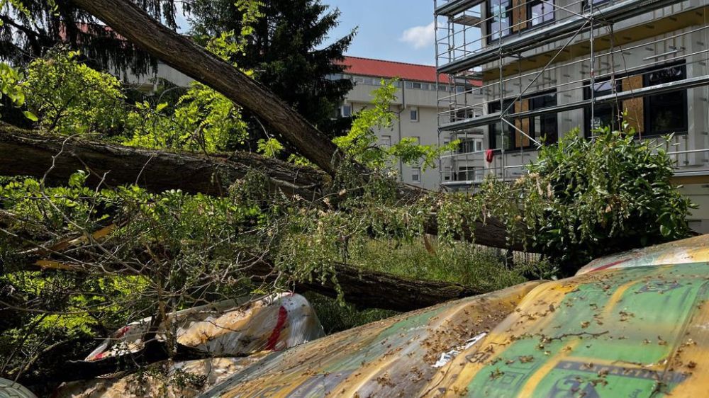 grenoble - dégagement d'urgence d'un arbre à vienne  4.jpg