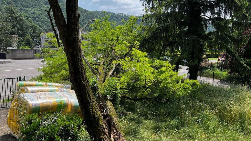 grenoble - dégagement d'urgence d'un arbre à vienne  5.jpg