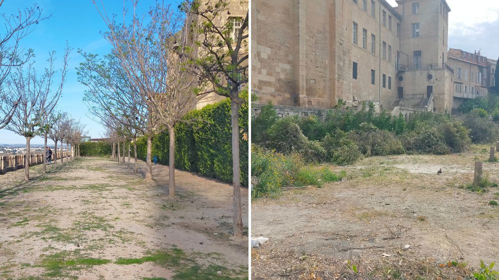 Narbonne - Réaménagement du jardin des Evêques à Béziers 2.jpg