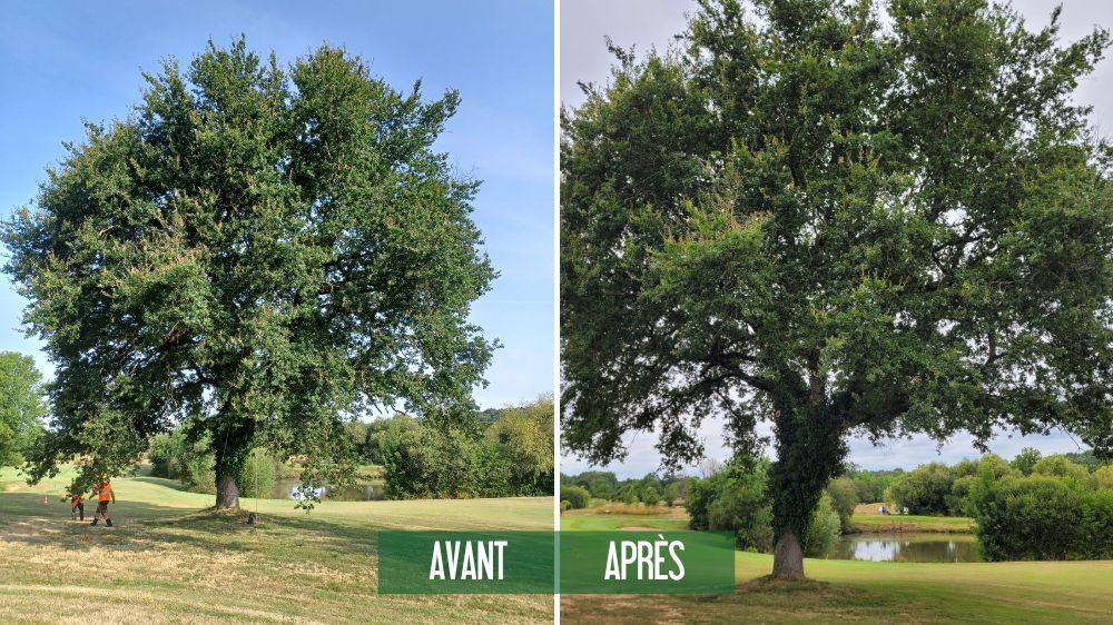 La Roche-sur-Yon  Mise en sécurité parcours golf à Nesmy (85) 2.jpg