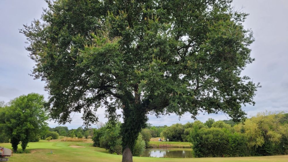 La Roche-sur-Yon  Mise en sécurité parcours golf à Nesmy (85) 3.jpg