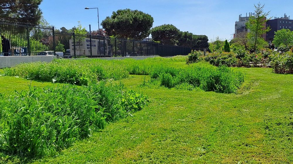 Sem - contrat d'entretien d'espaces verts à Chevilly-Larue 2.jpg