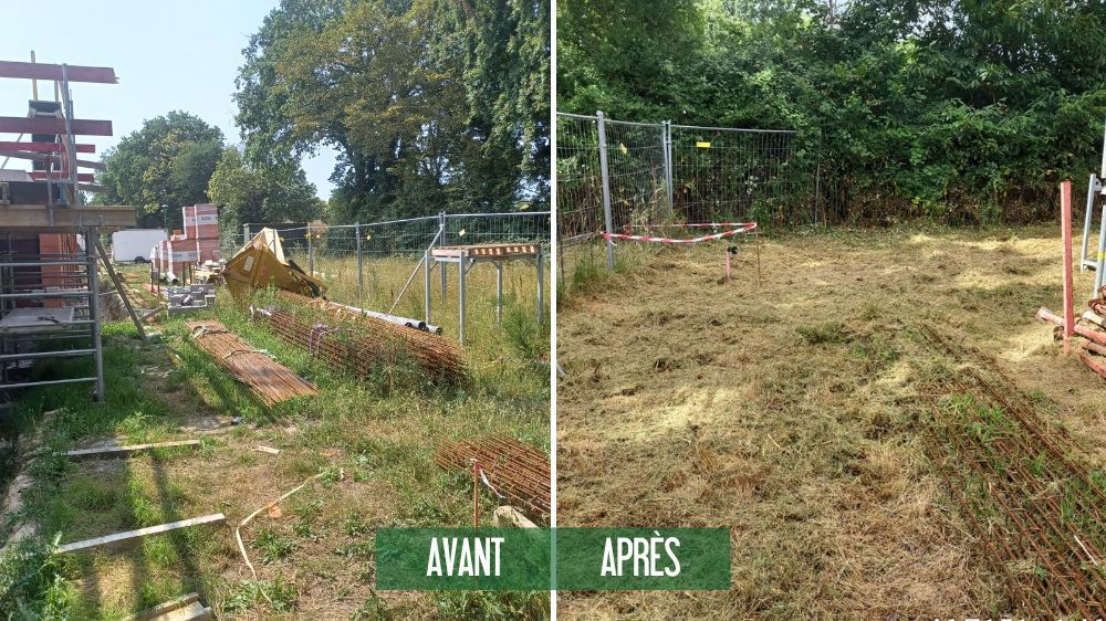 La Roche sur yon - débroussaillage d'urgence à Mouilleron le Captif 3.jpg