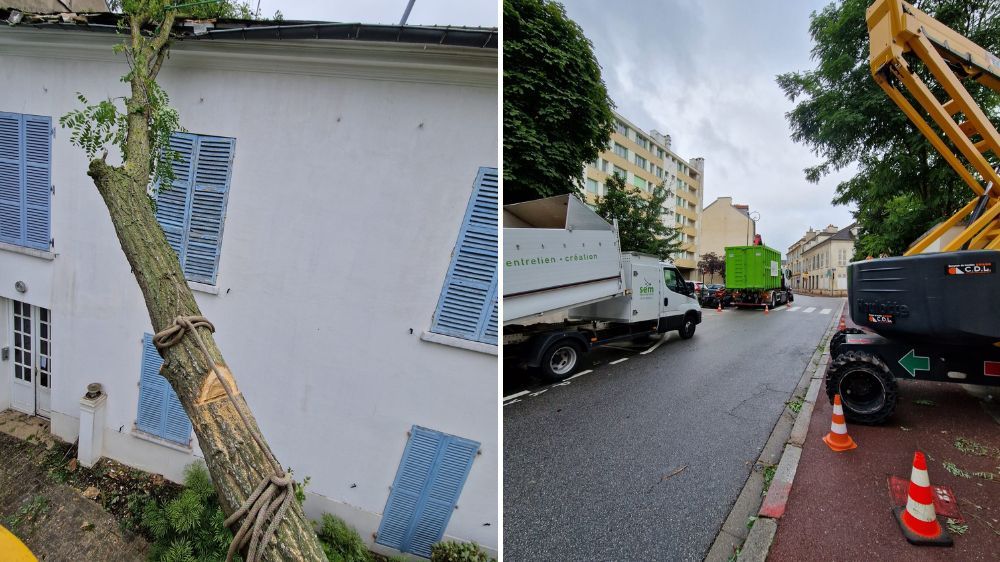 SEM - Abattage d’urgence d’arbres à Saint-Germain-en-Laye (78) 2.jpg