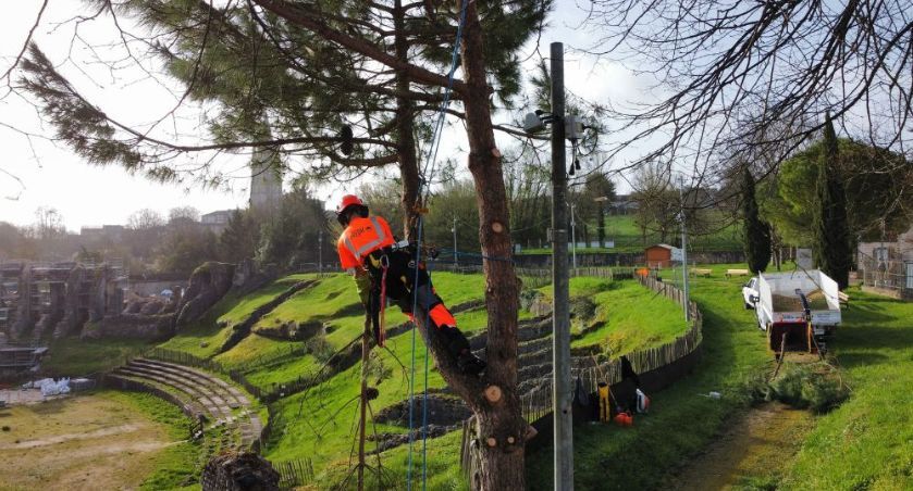 Serpe Cahors abattage d'arbres.png