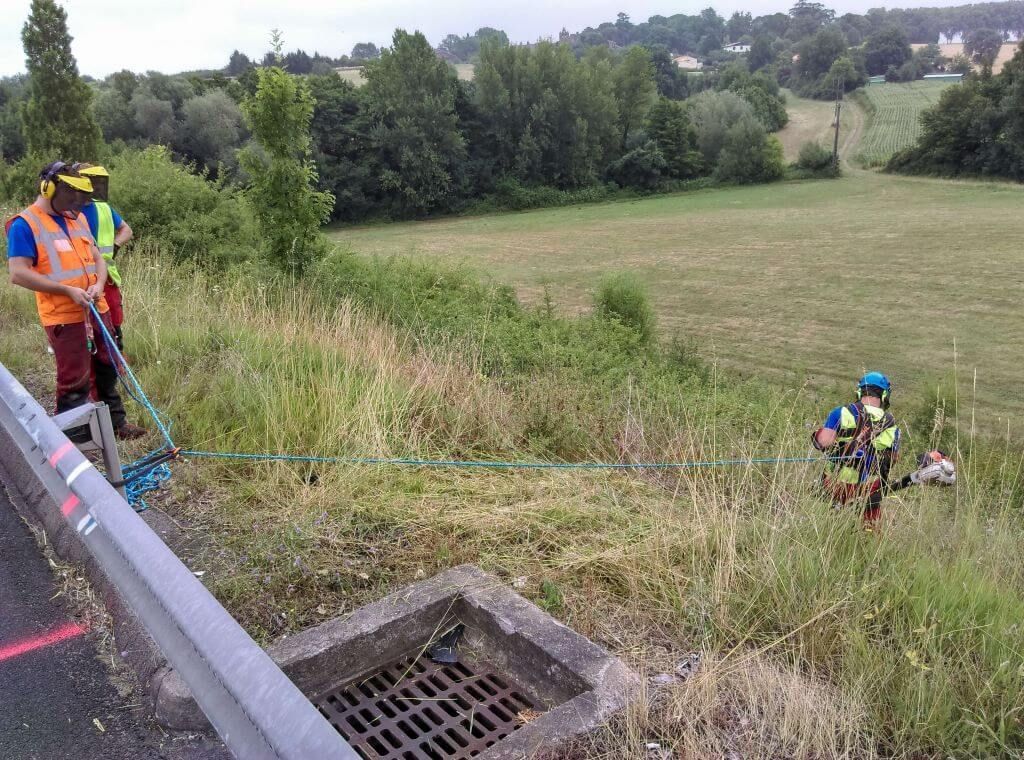 débroussaillage nemours .jpeg