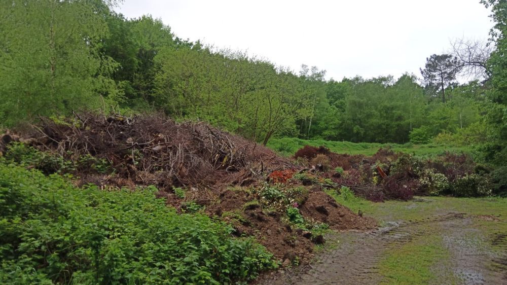 débroussaillage La Roche sur Yon.jpg