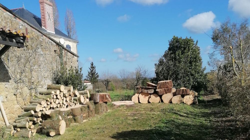 Dessouchage à La Roche sur Yon.jpg