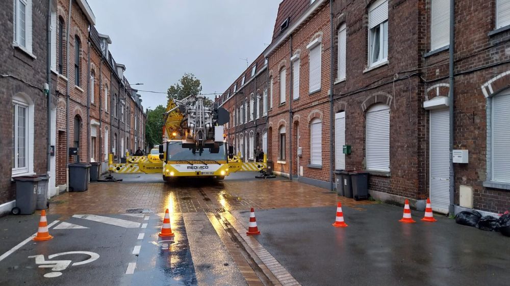 Lille - Démontage d’un arbre dépérissant à Loos (59)  3.jpg