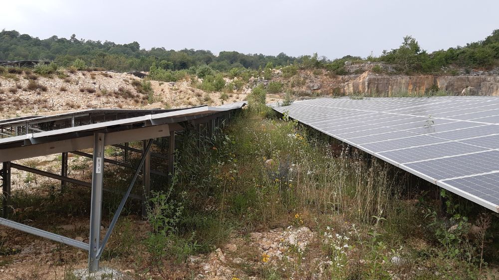 Annecy- Débroussaillage d’une centrale photovoltaïque à Parves et Nattage (01).jpg