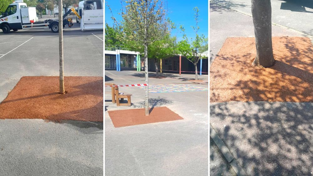 sem - desempéabilisation des pieds d'arbres à plaisir.jpg