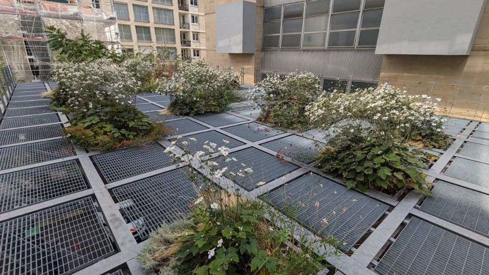 SEM - Entretien raisonné et gestion écologique d’un jardin suspendus à Paris 1.jpg