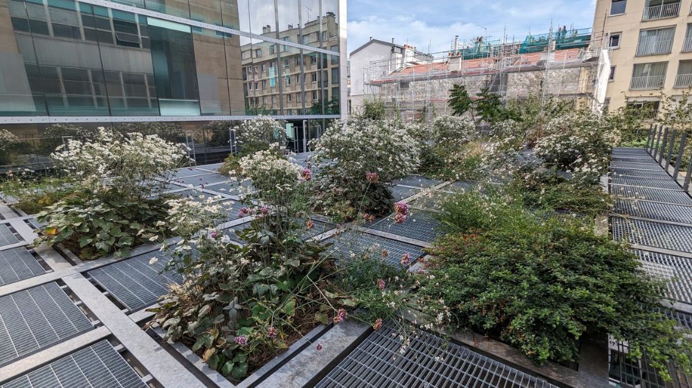 SEM - Entretien raisonné et gestion écologique d’un jardin suspendus à Paris 2.jpg