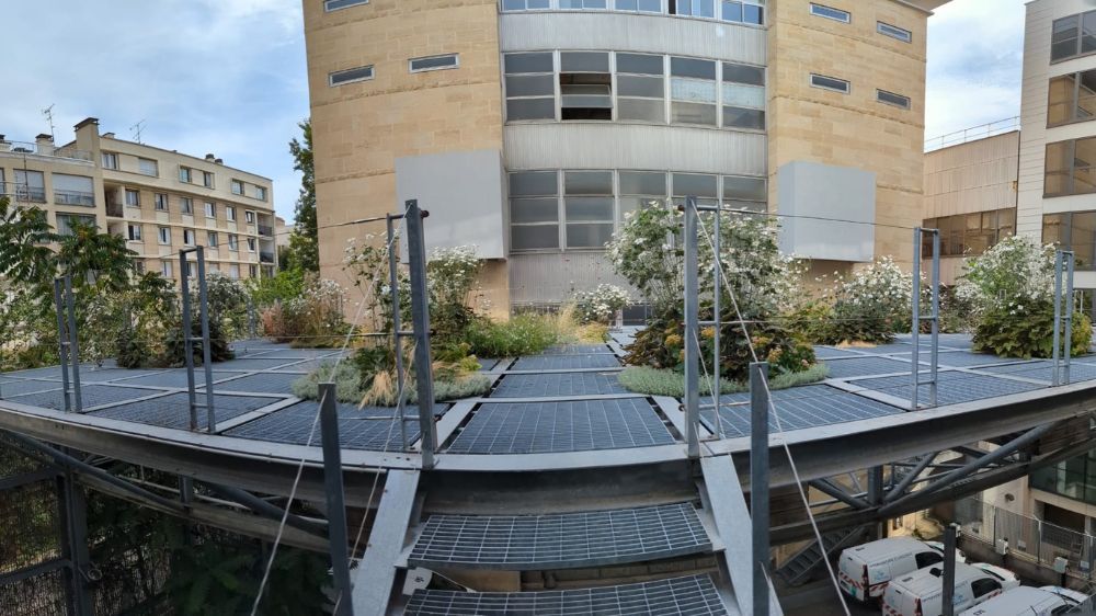 SEM - Entretien raisonné et gestion écologique d’un jardin suspendus à Paris.jpg