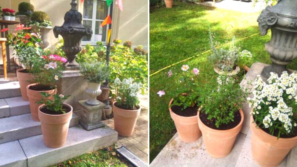 SEM - Installation de pots et plantes fleuries pour un événementiel à Paris 3.jpg