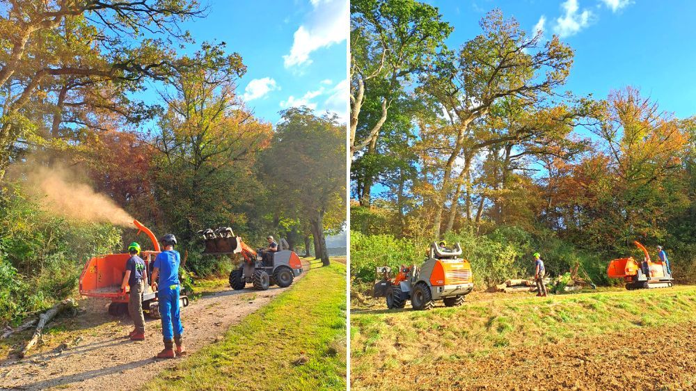 SEM - Mise en sécurité sur un domaine privée en Ile-de-France 3.jpg