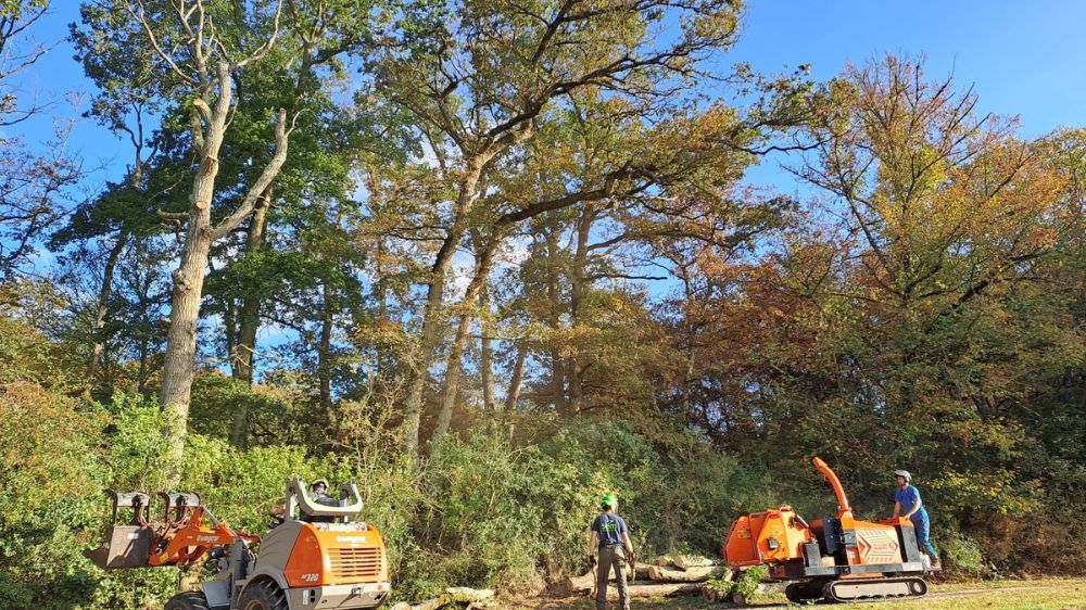 SEM - Mise en sécurité sur un domaine privée en Ile-de-France.jpg