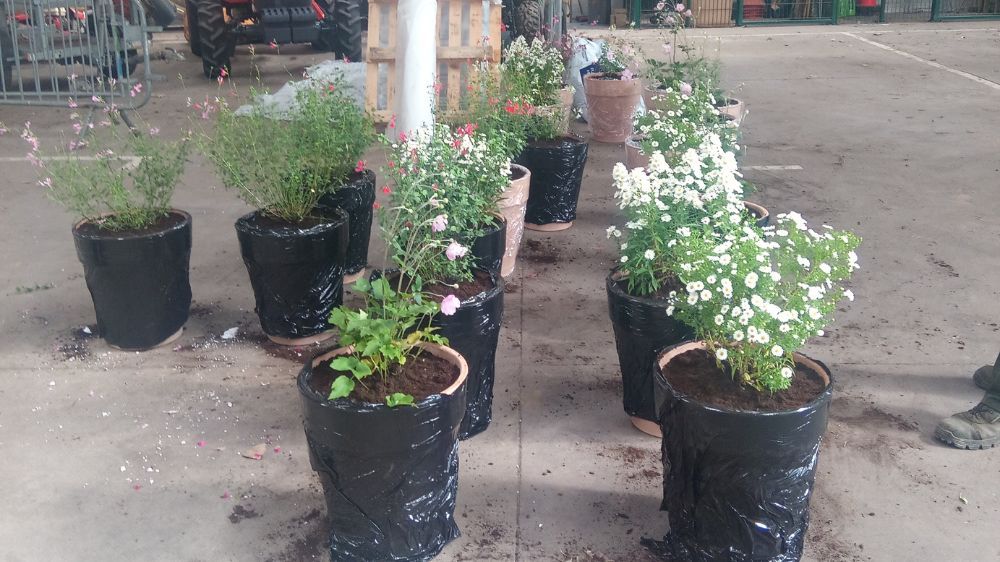 SEM - Installation de pots et plantes fleuries pour un événementiel à Paris.jpg