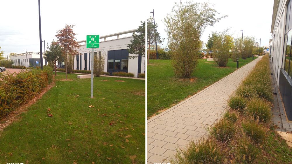 SEM - Entretien des espaces verts du parc Omega à Elancourt (78) 3.jpg