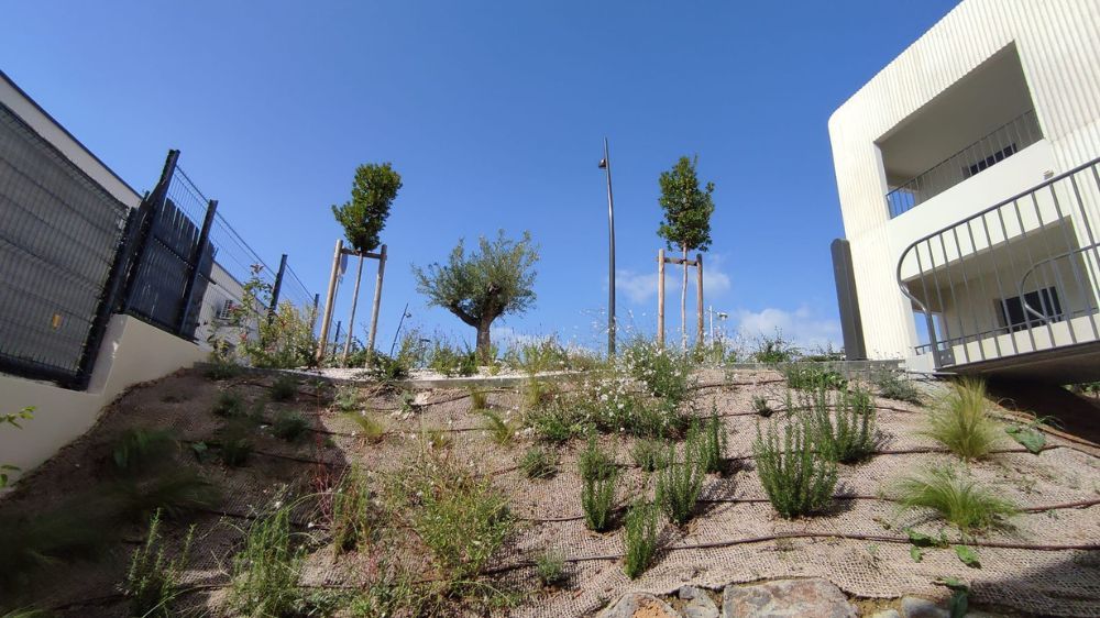 Montpellier - Aménagement des espaces verts à Saint-André-de-Sangonis (34) 3.jpg