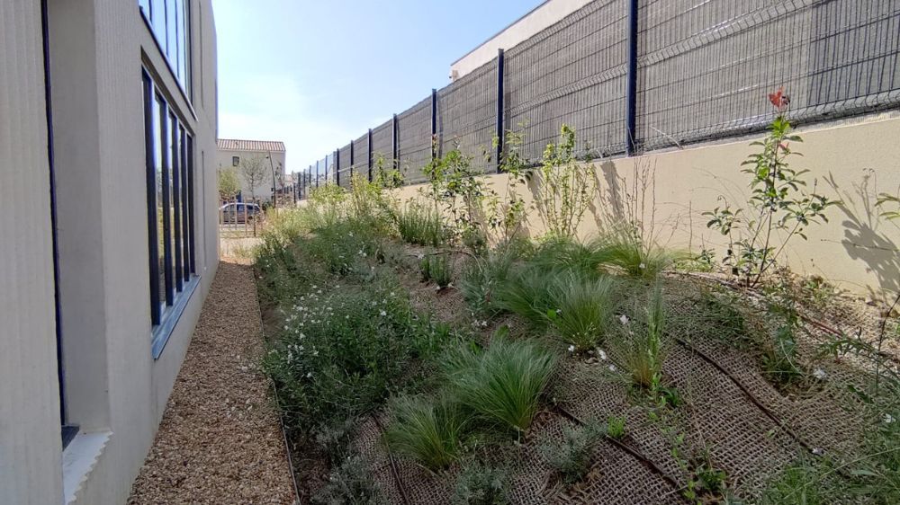 Montpellier - Aménagement des espaces verts à Saint-André-de-Sangonis (34) 2.jpg