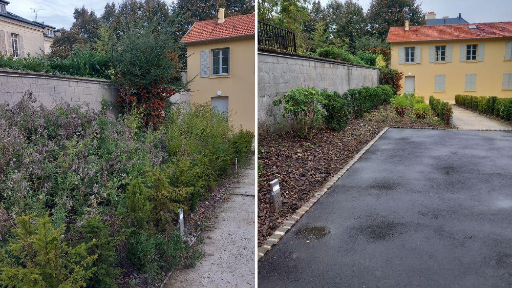 Sem - Remise en état d’un jardin chez un particulier à Versailles (78).jpg