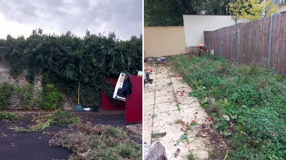 Sem - Remise en état d’un jardin chez un particulier à Versailles (78) 2.jpg