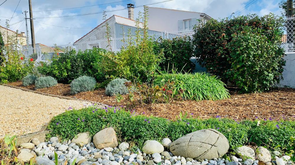 La Rochelle - Entretien d’un jardin à fouras (17).jpg