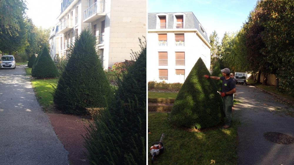 SEM - Entretien jardin - residence Louis XIV à Versailles (78).jpg