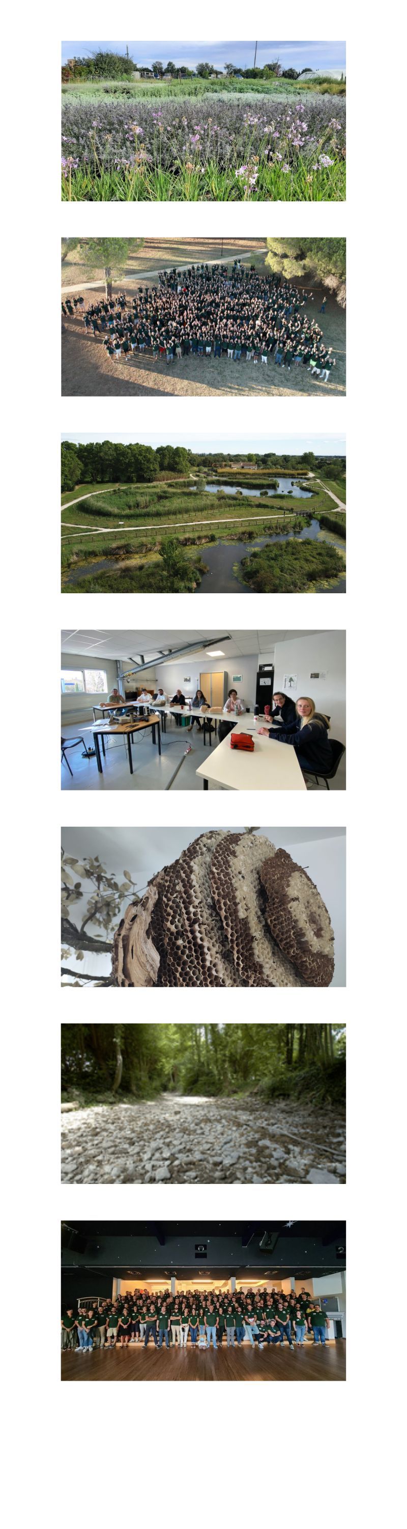 nl site  (1).jpg