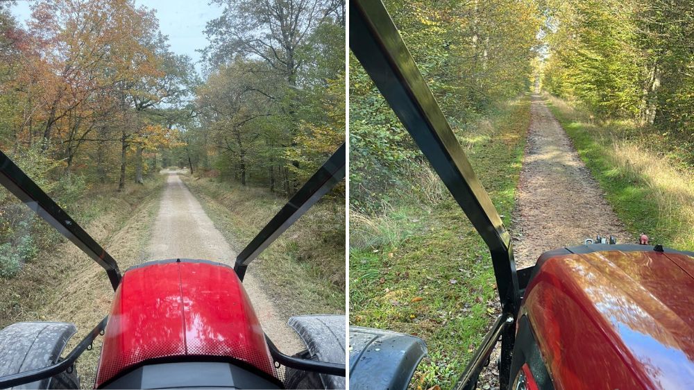 Nemours - Fauchage - chemin forestier à la domaniale de Sénart (91).jpg