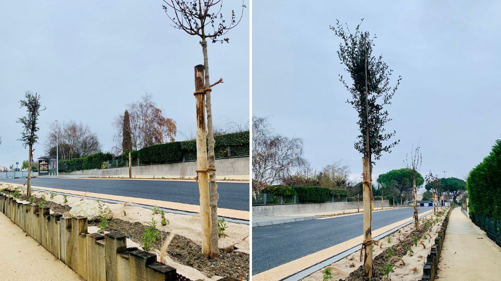 La Rochelle - Aménagement d’une rue à Dompierre-sur-Mer (17).jpg