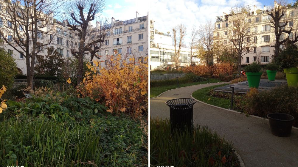 SEM - Contrat d’entretien des jardins à Neuilly sur Seine (78).jpg