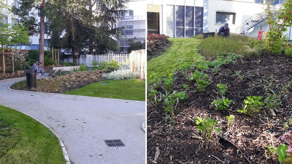 SEM - Contrat d’entretien des jardins à Neuilly sur Seine (78) 2.jpg