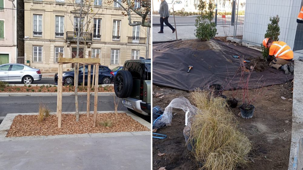 Valence - Aménagement du cours St Didier à Romans-sur-Isère (26).jpg