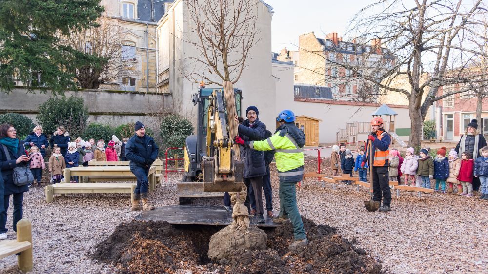 SEM - Plantation arbre école Marmousets (78) 2.jpg