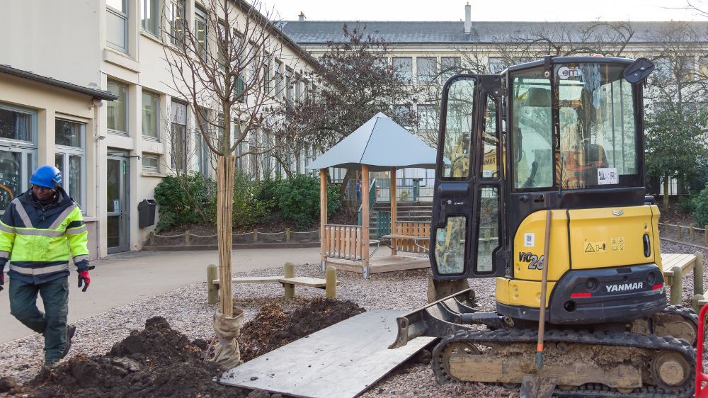 SEM - Plantation arbre école Marmousets (78).jpg