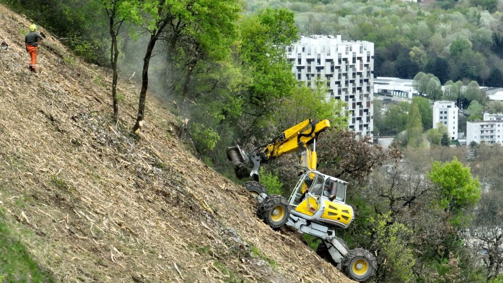 Grenoble - Débroussaillage à la Bastille à Grenoble (38).jpg