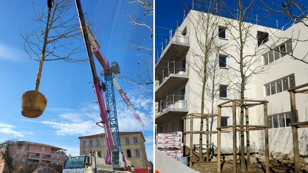 Aix en provence –  Travaux de fourniture et plantation à Manosque (04) 4.jpg