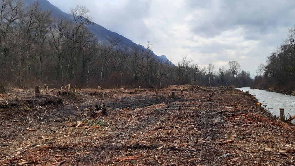 Annecy - Débroussaillage et déboisage à Le Gua (38) après.jpg