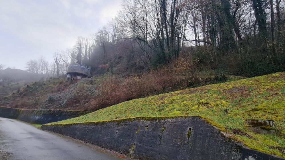 Annecy - Débroussaillage manuel d’un talus à Chavanod (74).jpg